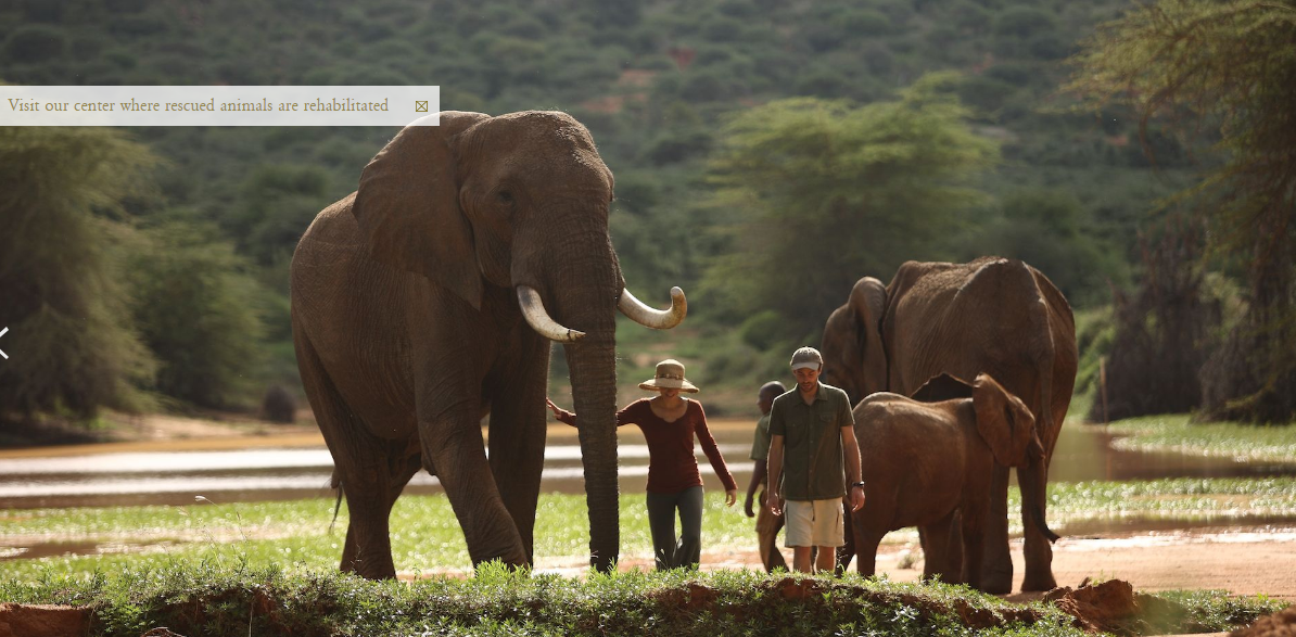 Read more about the article Ol jogi Wildlife Conservancy, the hidden gem in Africa
